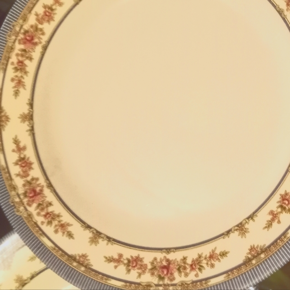 11 piece plastic dinning set